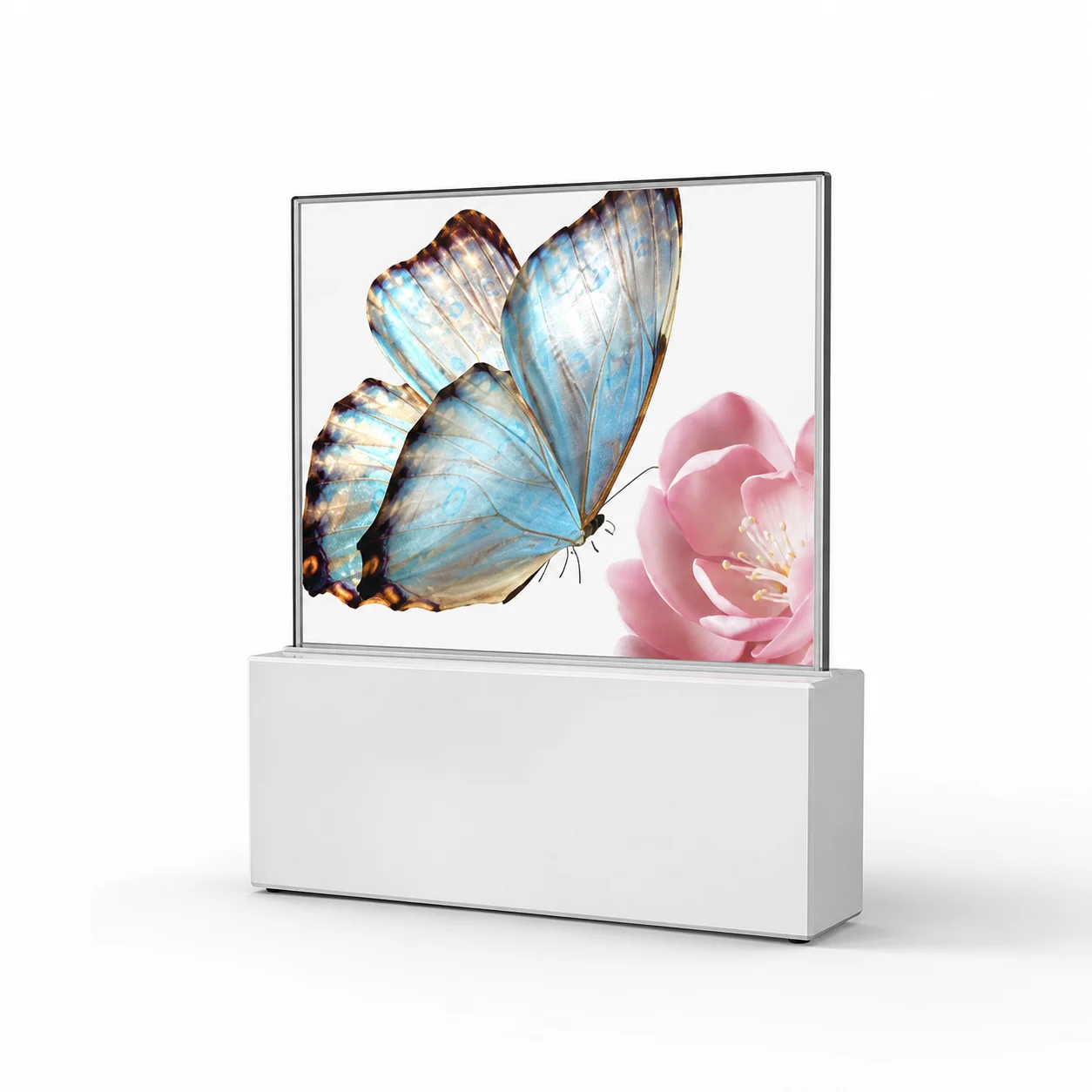 30-inch Motorized Pop-Up Transparent TOLED Display