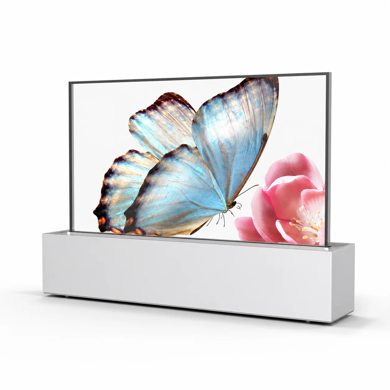 55″ Motorized Pop-Up Transparent OLED Display